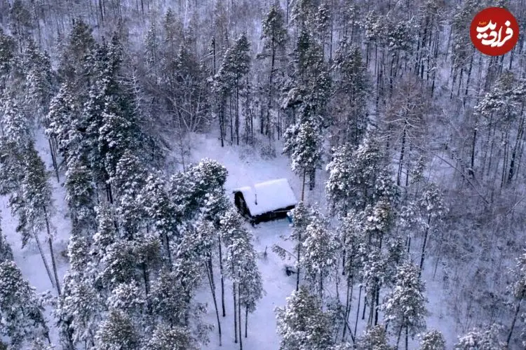 زندگی عجیب مردی که ۲۰ سال در سردترین جنگل جهان زندگی کرده است
