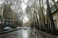 عکس| سفر به ایران قدیم؛ منظرۀ «خیابان ولیعصر» در اولین سال‌های احداث؛ 92 سال قبل
