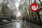 عکس| سفر به ایران قدیم؛ منظرۀ «خیابان ولیعصر» در اولین سال‌های احداث؛ 92 سال قبل