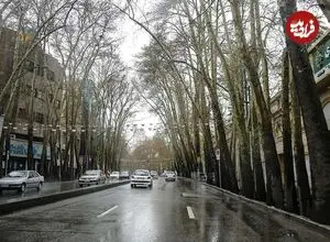 عکس| سفر به ایران قدیم؛ منظرۀ «خیابان ولیعصر» در اولین سال‌های احداث؛ 92 سال قبل