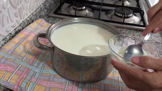 (ویدئو) اگر شیر در خانه دارید، این ماست خوشمزه ترکیه ای را در خانه درست کنید