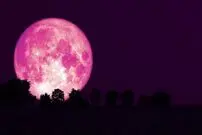 ماه صورتی خرداد ماه را از دست ندهید