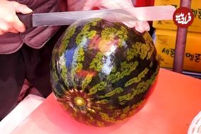 ببینید؛ برش زدن تماشایی هندوانه، طالبی و آناناس توسط فروشنده ماهر کره ای