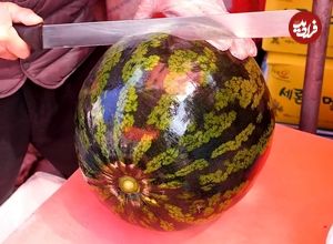 ببینید؛ برش زدن تماشایی هندوانه، طالبی و آناناس توسط فروشنده ماهر کره ای
