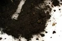 کشف «دوات» 2 هزارسالۀ روم باستان و جوهر عجیبی که در آن باقی مانده است 