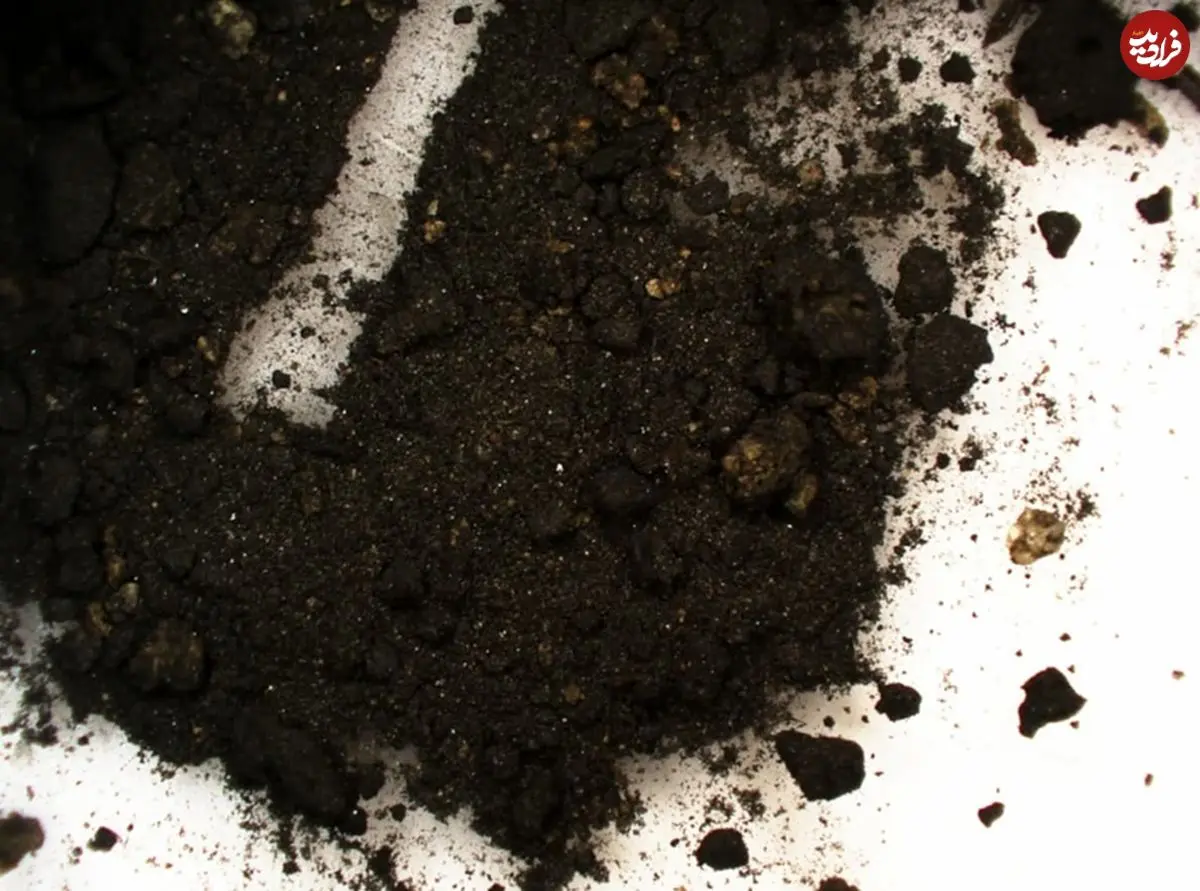 کشف «دوات» 2 هزارسالۀ روم باستان و جوهر عجیبی که در آن باقی مانده است 