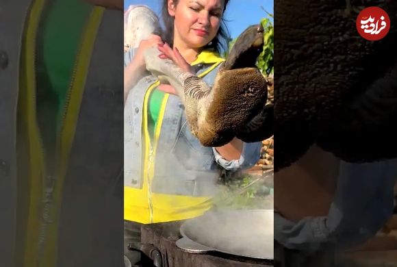 (ویدئو) کباب کردن ران شتر مرغ در تنور توسط بانوی آشپز روستایی در اوکراین