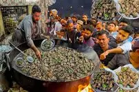 ببینید| غذای خیابانی در پاکستان؛ پخت یک غذای محبوب با جگر گوسفندی، فلفل و ادویه جات  در کراچی