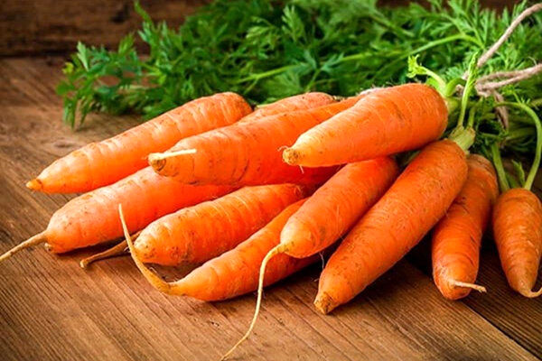 روش صحیح نگهداری از هویج که تا یک سال تازه می‌ماند