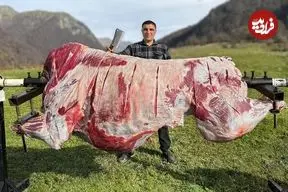ببینید| غذای روستایی در آذربایجان؛ تهیه شاورما با یک گاو 100 کیلوگرمی