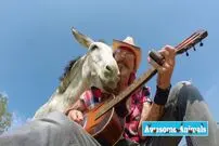 (ویدئو) واکنش دیدنی یک الاغ به گیتارنوازی صاحب اش