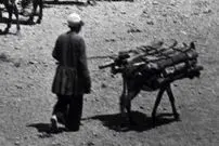 عکس| سفر زمان؛ منظرۀ اردوی ناصرالدین شاه در «رباط کریم»؛ 130 سال قبل