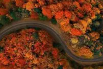 ( عکس) نمایی تماشایی از جاده پاییزی اسالم به خلخال