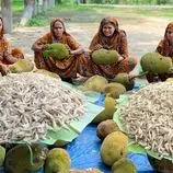 ببینید| غذای روستایی در هند؛ پخت یک غذای محلی با جک فروت و میگو 