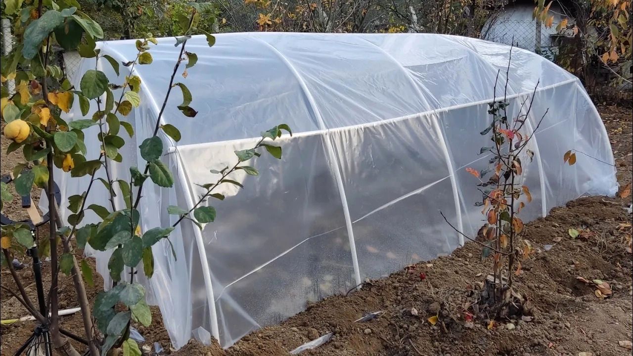 (ویدئو) چگونه یک گلخانه کم هزینه و کوچک در باغچه حیاط درست کنیم؟