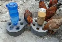 (ویدئو) نحوه ساخت دانخوری و آبخوری با سیمان و بطری پلاستیکی برای مرغ و خروس ها
