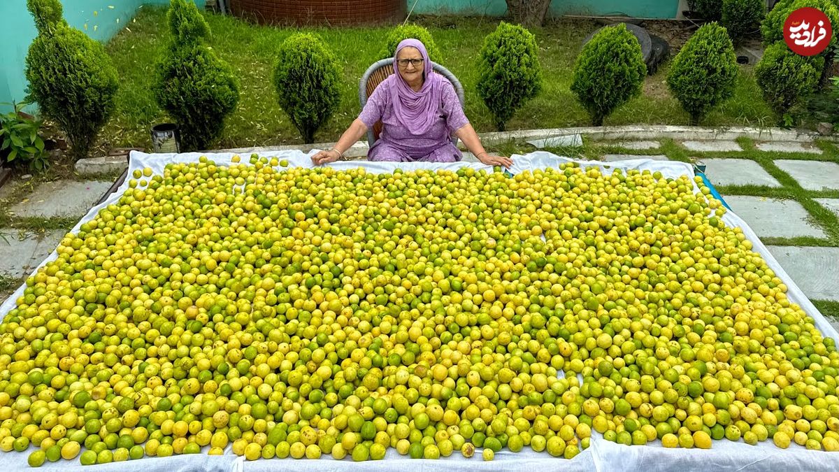 ببینید؛ غذای روستایی در هند؛ تهیه ترشی با 200 کیلو لیمو توسط مادربزرگ روستایی
