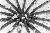 تصاویر| پرونده مرموز «جهان ۲۵»؛‌ چرا آرمان‌شهر موش‌ها به جهنم تبدیل شد؟