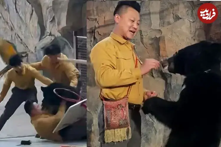 ببینید| حمله وحشتناک خرس به نگهبان پس از اجرای نمایشی در چین