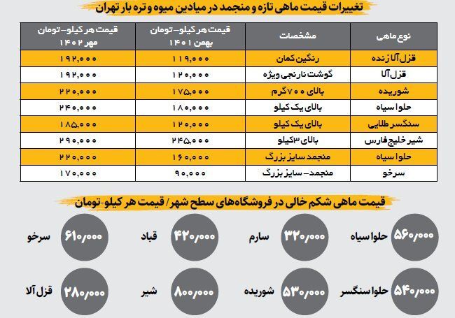 قزل آلا، رکورددار افزایش قیمت | هر کیلو قزل آلا چند؟