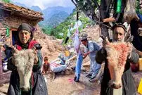 ببینید| غذای روستایی در افغانستان؛ پخت کله پاچه گاو در روستایی کوهستانی