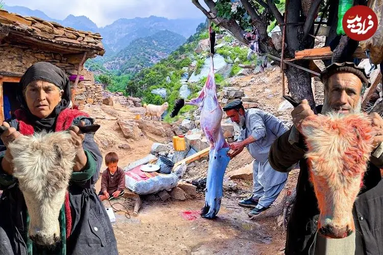 ببینید| غذای روستایی در افغانستان؛ پخت کله پاچه گاو در روستایی کوهستانی