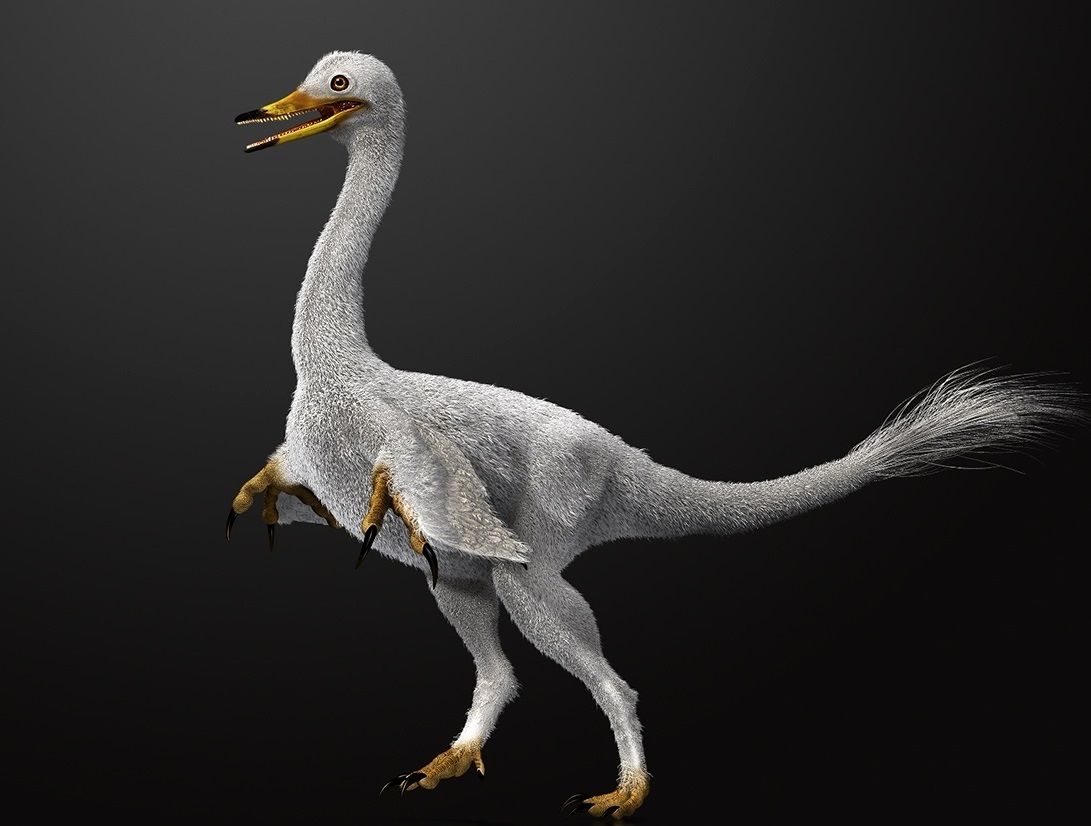 (عکس) دایناسوری که تبدیل به اردک شد!