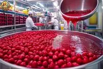 (ویدئو) مربای توت فرنگی چگونه در کارخانه تولید می شود؟