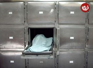 مرگ پزشک جراح متخلف، قبل از دستگیری