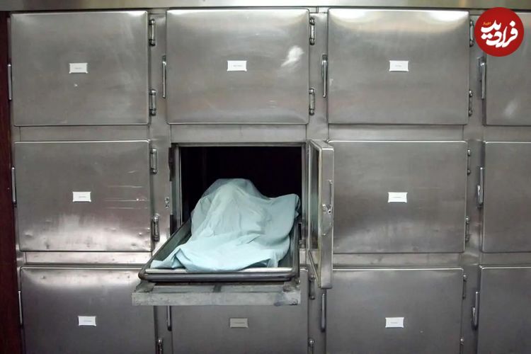 مرگ پزشک جراح متخلف، قبل از دستگیری