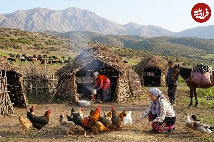 ببینید| غذای روستایی در ایران؛ پخت دلمه بادمجان و گوجه فرنگی در روستایی کوهستانی