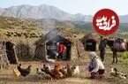ببینید| غذای روستایی در ایران؛ پخت دلمه بادمجان و گوجه فرنگی در روستایی کوهستانی