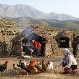 ببینید| غذای روستایی در ایران؛ پخت دلمه بادمجان و گوجه فرنگی در روستایی کوهستانی