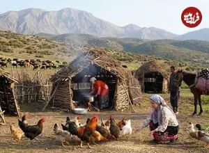 ببینید| غذای روستایی در ایران؛ پخت دلمه بادمجان و گوجه فرنگی در روستایی کوهستانی