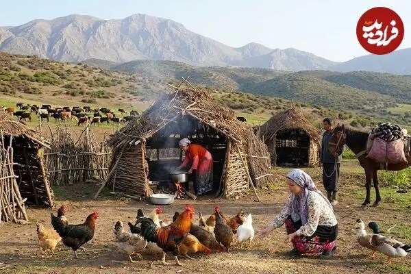 ببینید| غذای روستایی در ایران؛ پخت دلمه بادمجان و گوجه فرنگی در روستایی کوهستانی