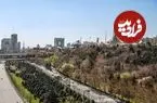 عکس| سفر زمان؛ منظرۀ «شرق و غرب تهران» در دوران ناصرالدین شاه