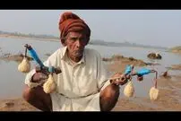 (ویدئو) شیوه جالب پیرمرد روستایی هندی برای صید ماهی با کیک و بیسکوئیت
