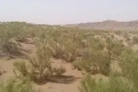 افزایش عجیب استان‌های بیابانی کشور

