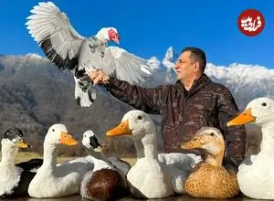 ببینید| غذای روستایی در آذربایجان؛ کباب کردن اردک در تنور در روستا