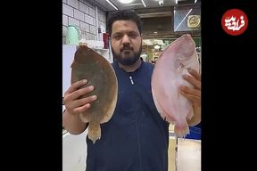 ببینید؛ ماهیِ موسی؛ یکی از عجایب خلقت