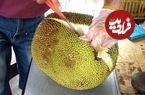 ببینید؛ مهارت میوه فروش کره ای در برش زدن جک فروت، هنداونه و آناناس