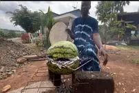 ببینید| غذای روستایی در کنیا؛ پخت ماهی در هندوانه و روی آتش