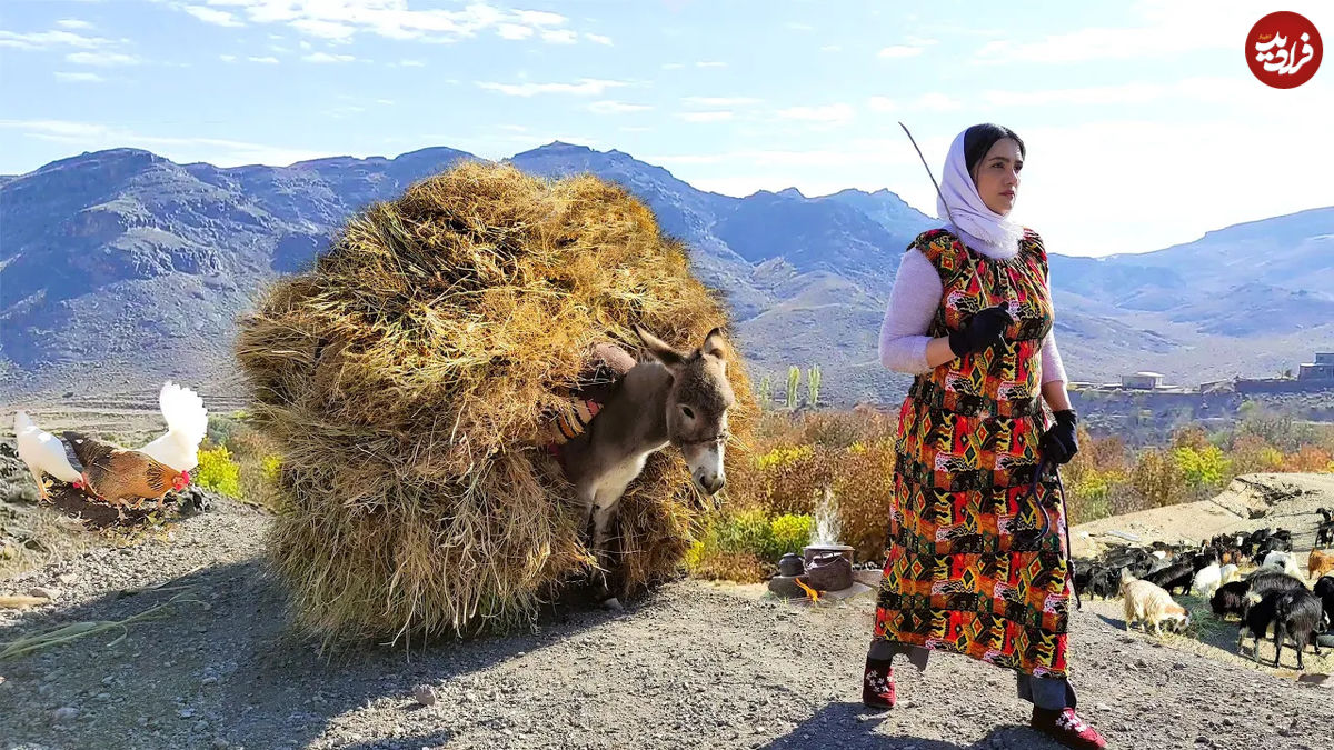 (ویدئو) غذای روستایی در ایران؛ پخت خوراک سنتی با گوجه، بادمجان و گوشت