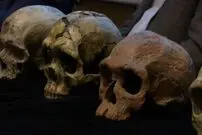 کشف فسیل ۳۰۰ هزار ساله متعلق به گونه «هوموساپین»