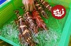 ببینید| غذای خیابانی در تایوان؛ برش و پخت غذا با میگو ببری غول پیکر در تایپه