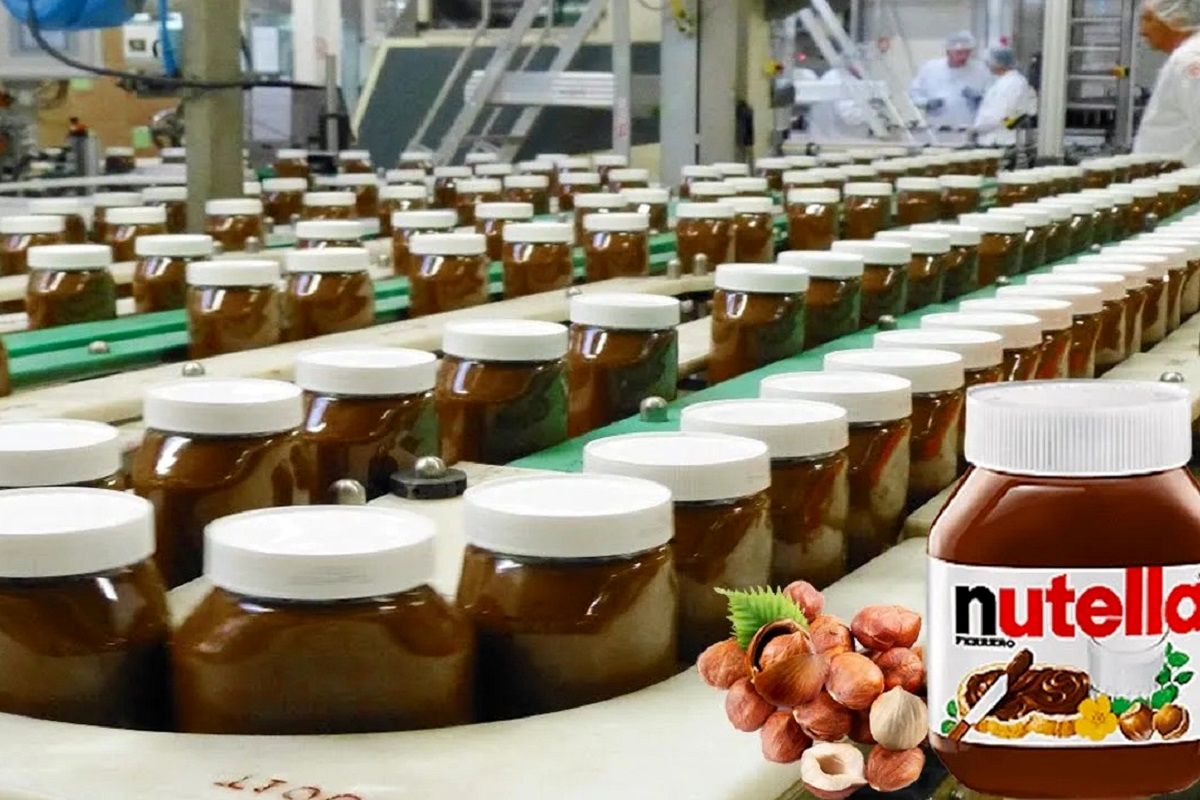 (ویدئو) عملیات لذت بخش تولید نوتلا، مشهورترین شکلات جهان؛ از مزرعه تا کارخانه