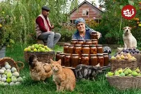 ببینید| غذای روستایی در آذربایجان؛ پخت کیک و تهیه مربا با انجیر در طبیعت زیبای روستا