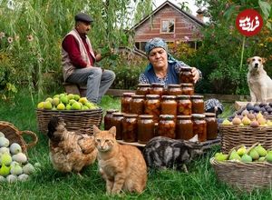 ببینید| غذای روستایی در آذربایجان؛ پخت کیک و تهیه مربا با انجیر در طبیعت زیبای روستا