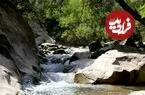 چال ماهی تهران کجاست؟ /راهنمای سفر یک روزه به چال ماهی