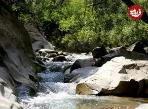 چال ماهی تهران کجاست؟ /راهنمای سفر یک روزه به چال ماهی